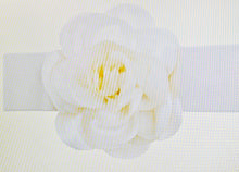Load image into Gallery viewer, ROSE PEDALS