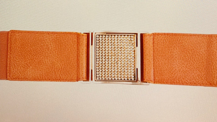 CORAL ELASTIC BLING BELTS